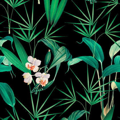 Palm Springs - Anthracite Wallcovering | Mind the Gap