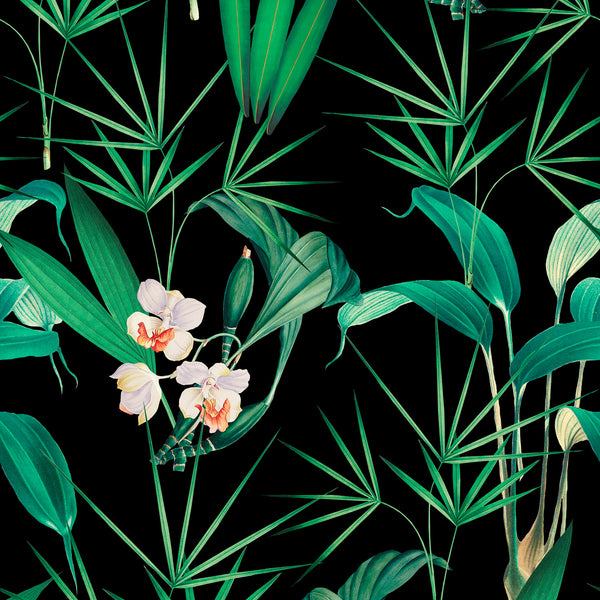 Palm Springs - Anthracite Wallcovering | Mind the Gap