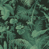 Pampas Noir, Sample