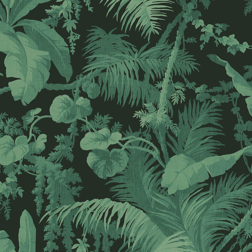 Pampas Noir, Sample