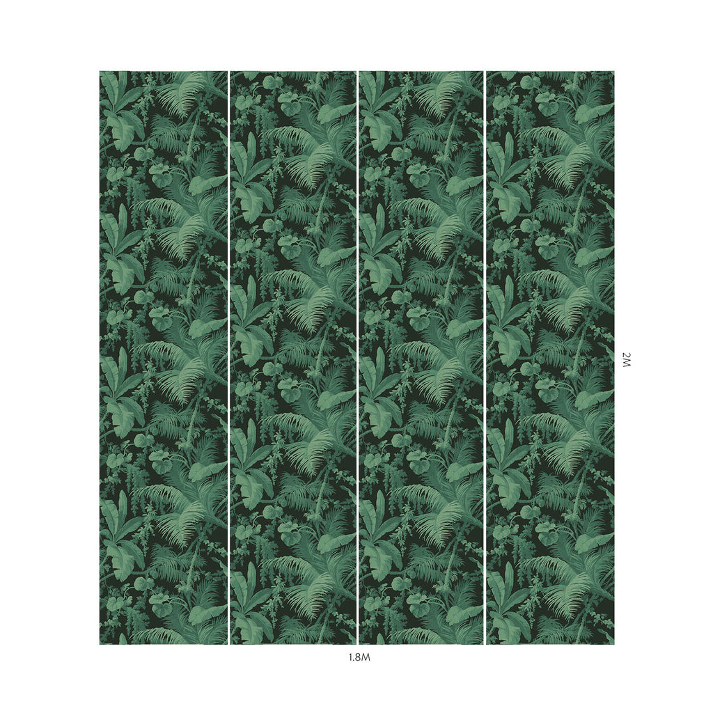Pampas Noir, Sample