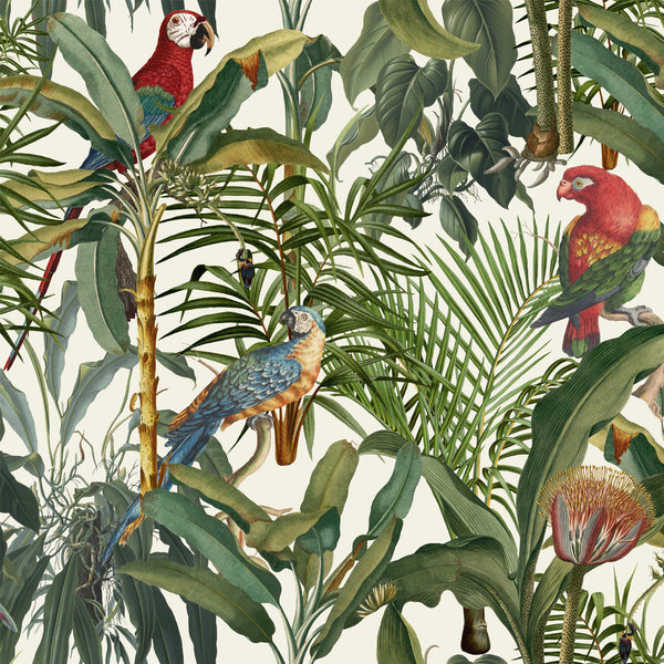 Parrots Of Brasil  Wallpaper | Mind The Gap