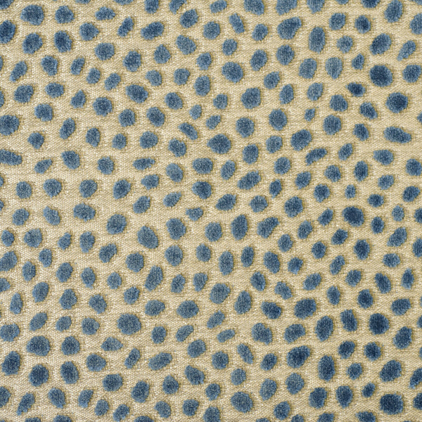 Cosma - Blue Blue By Baker Lifestyle | Foxwood |Dots  Multipurpose Velvet