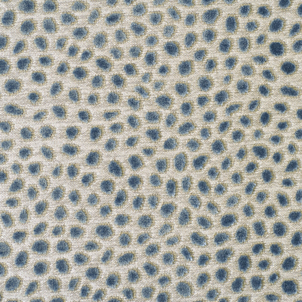 Cosma - Smoke Light Blue By Baker Lifestyle | Foxwood |Dots  Multipurpose Velvet