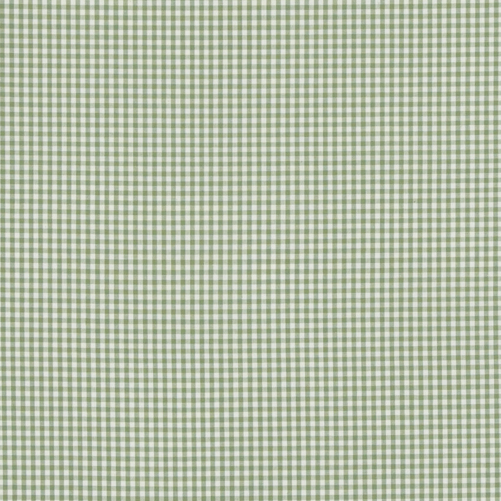 Samples and Purchasing available for Sherborne Gingham - Green Green By Baker Lifestyle | Bridport |Stripes  Multipurpose  at Designer Wallcoverings and Fabrics
