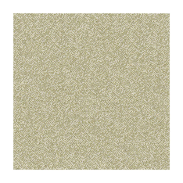 Samples and Purchasing available for Kravet Design - Pietra-1111 Light Grey By Kravet Design |  |Small Scale Solid Upholstery Vinyl/Faux Leather at Designer Wallcoverings and Fabrics