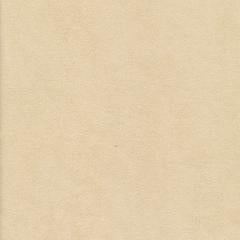 Maya Riviera - Wheat Vegan Leather | Phillipe Romano