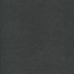 Maya Riviera - Ash Vegan Leather | Phillipe Romano