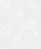Malibu Dandelion Fields Wallpaper - Contemporary Floral - Off-White | Malibu Wallpaper