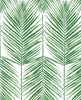 Malibu Paradise Palm Prepasted Wallpaper - Coastal Botanical - Greenery | Malibu Wallpaper
