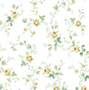 Malibu Meadow Floral Trail Wallpaper - Transitional Floral - Wheatfield & Sage | Malibu Wallpaper