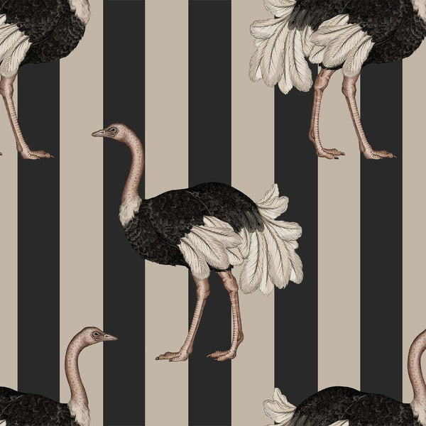 Pride Clay & Off-Black, Sample Wallcoverings | House of Hackney