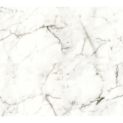 Minehead White Wallcovering | Jeffrey Stevens