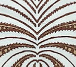 Palm Garden, Rustica / Hazelnut on Tint