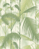 DWKK-152210-Sold Per Bolt (20.5in x 33ft) Palm Jungle Olive Green On White designer-wallcoverings-los-angeles