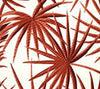 Corals on Cream