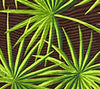 Dark Greens on Brown