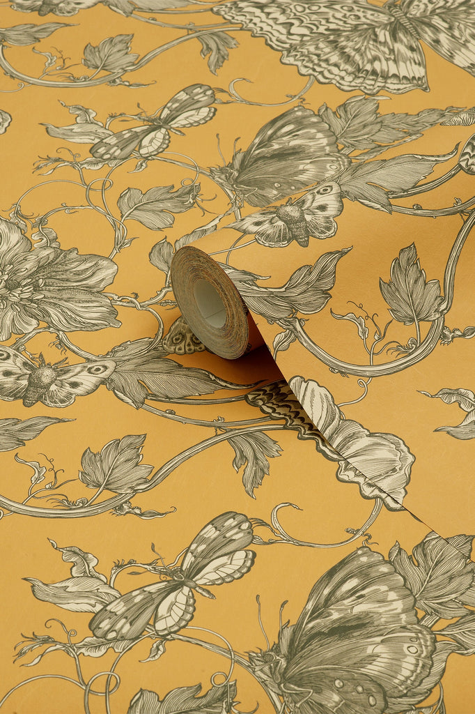 Papillon Ochre