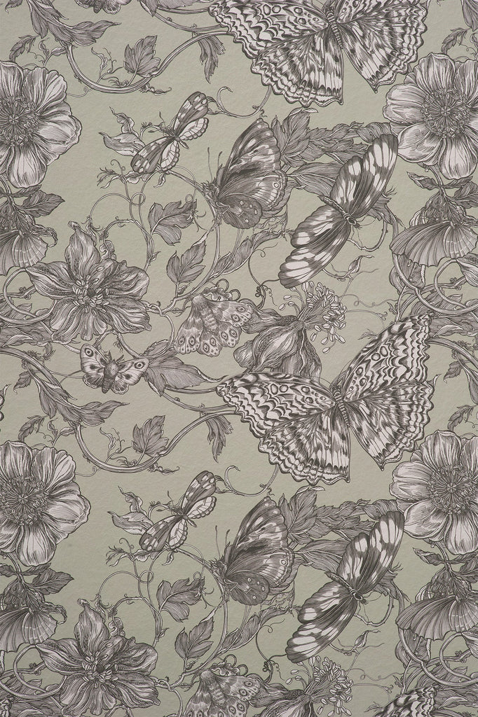 Papillon Pistachio