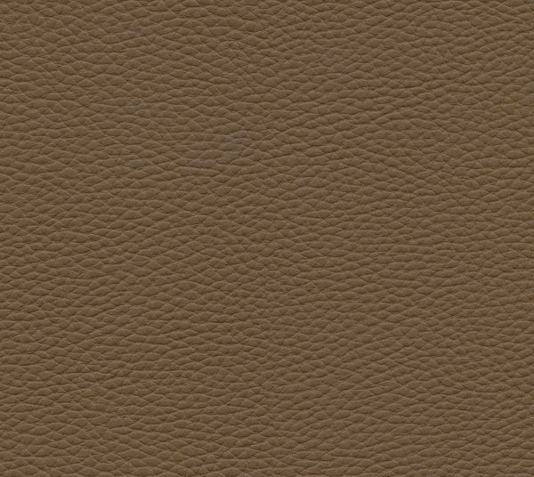 Starfish | Commercial Fabric | Los Angeles Fabrics