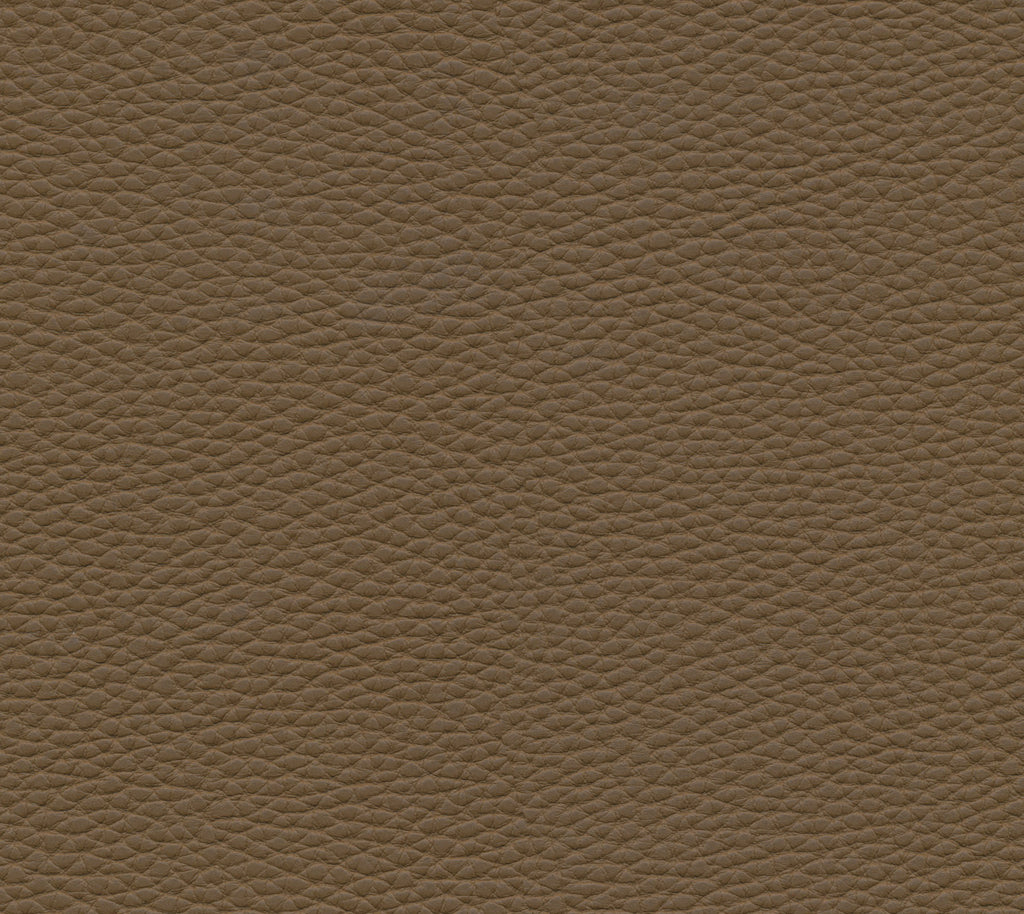 Starfish Wallcovering | Phillipe Romano