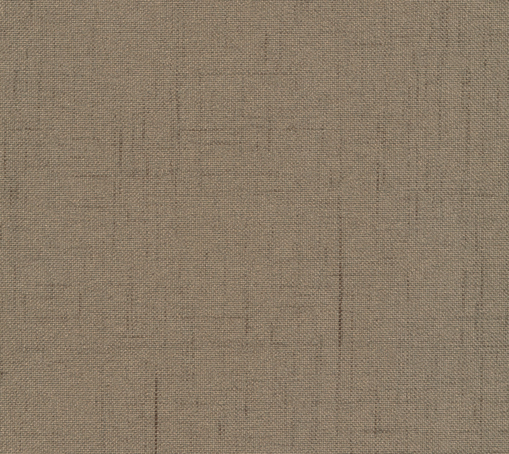 Nautilus Wallcovering | Phillipe Romano