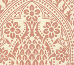 Pina, Terracotta on Tint