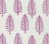 Lavender on White