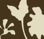 Brown on Tint Wallcoverings | Alan Campbell
