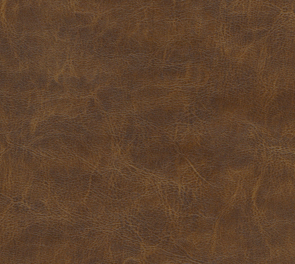 Citrus | Commercial Fabric | Los Angeles Fabrics