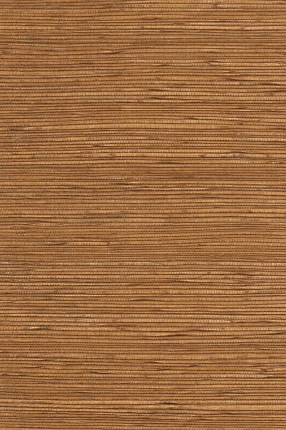 Gradient - Caramel - Image 4
