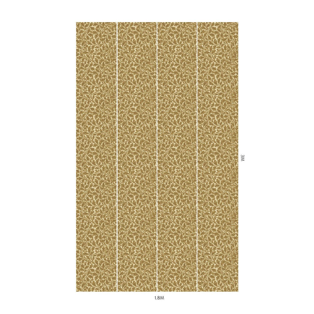 Quercus Auric, Sample