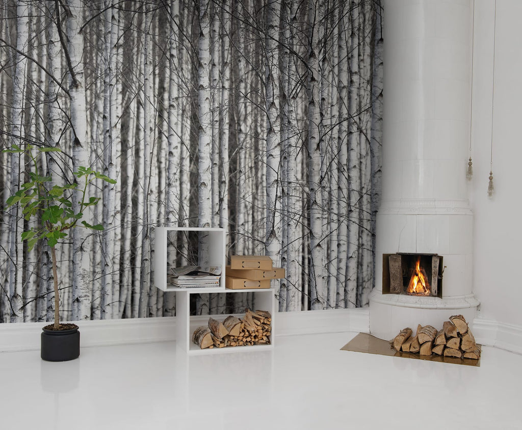 Birch Trunks