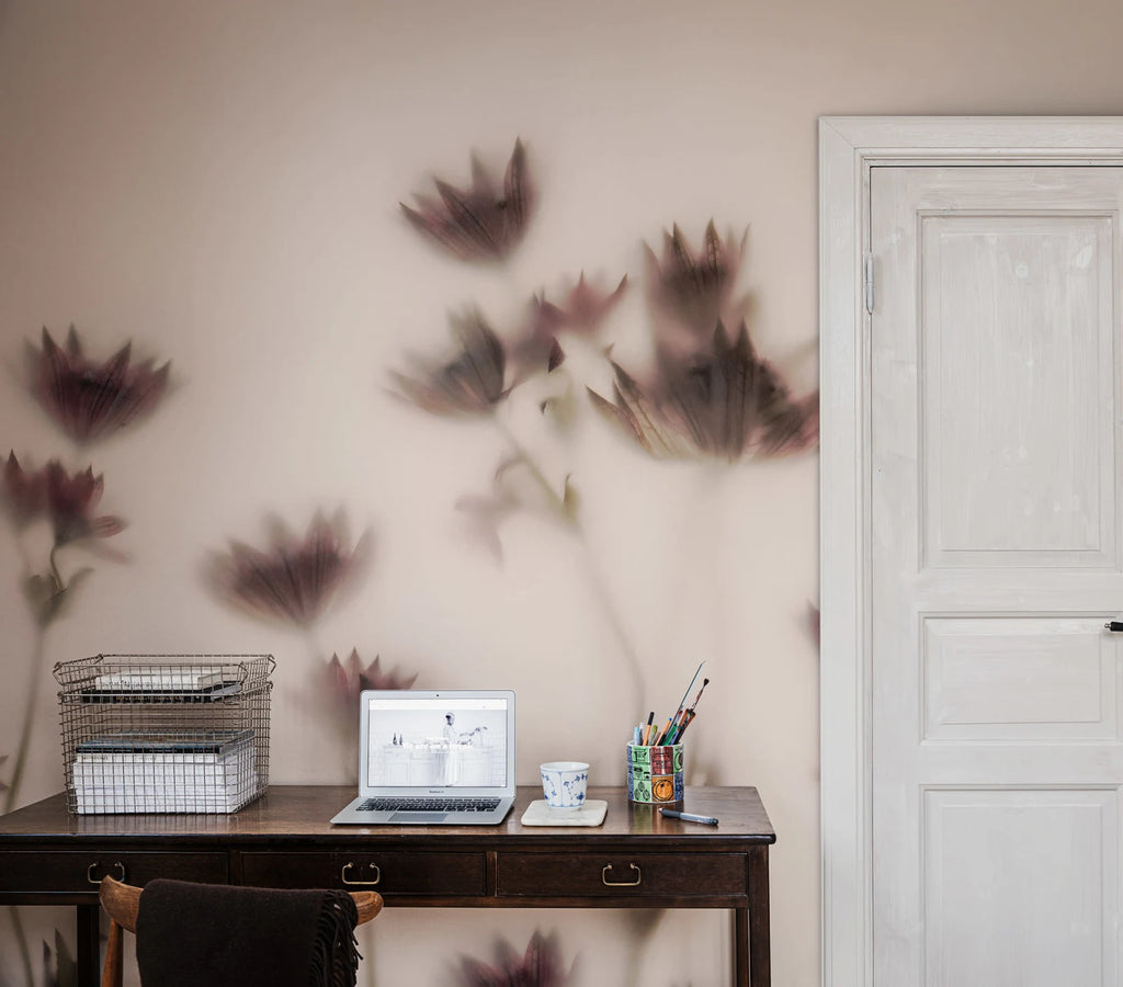 Astrantia, Pink