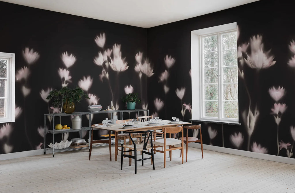 Astrantia, Dark