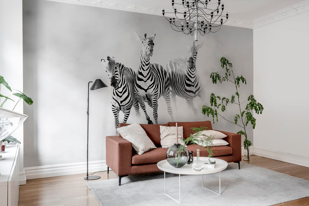 Graphic Zebras Wallcoverings
