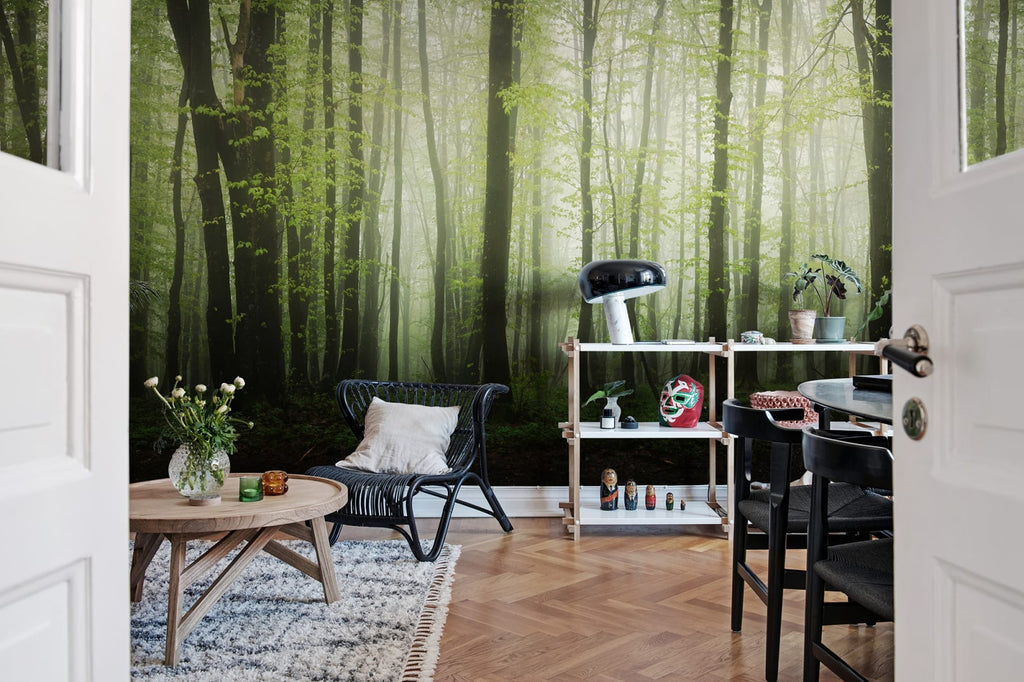 Dawn in the Forest Wallcoverings