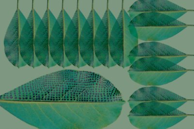 Rambo Green  Wallpaper (Srd-Ram-01) | Sarah Rowland | Koroseal