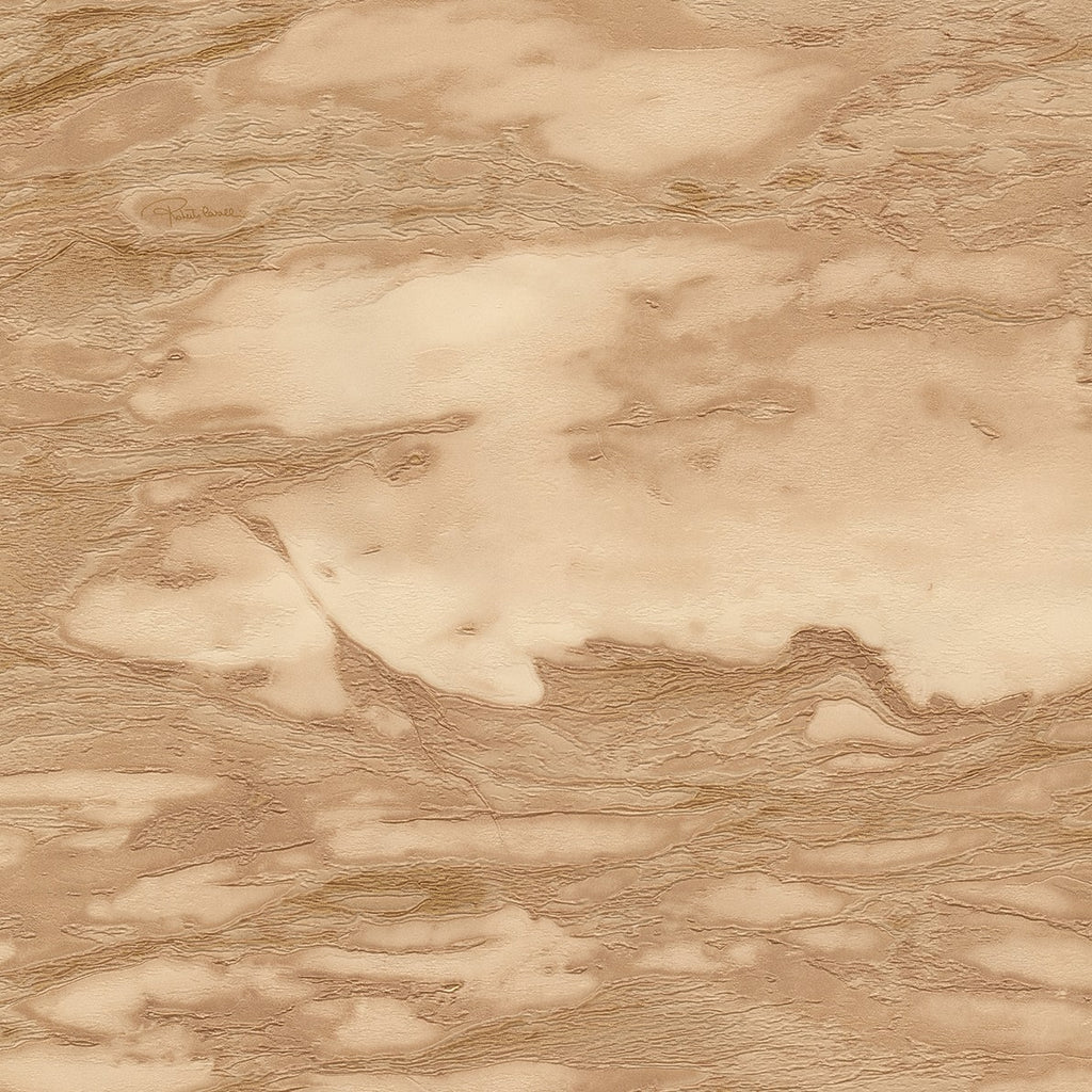 Roberto Cavalli Wallpaper