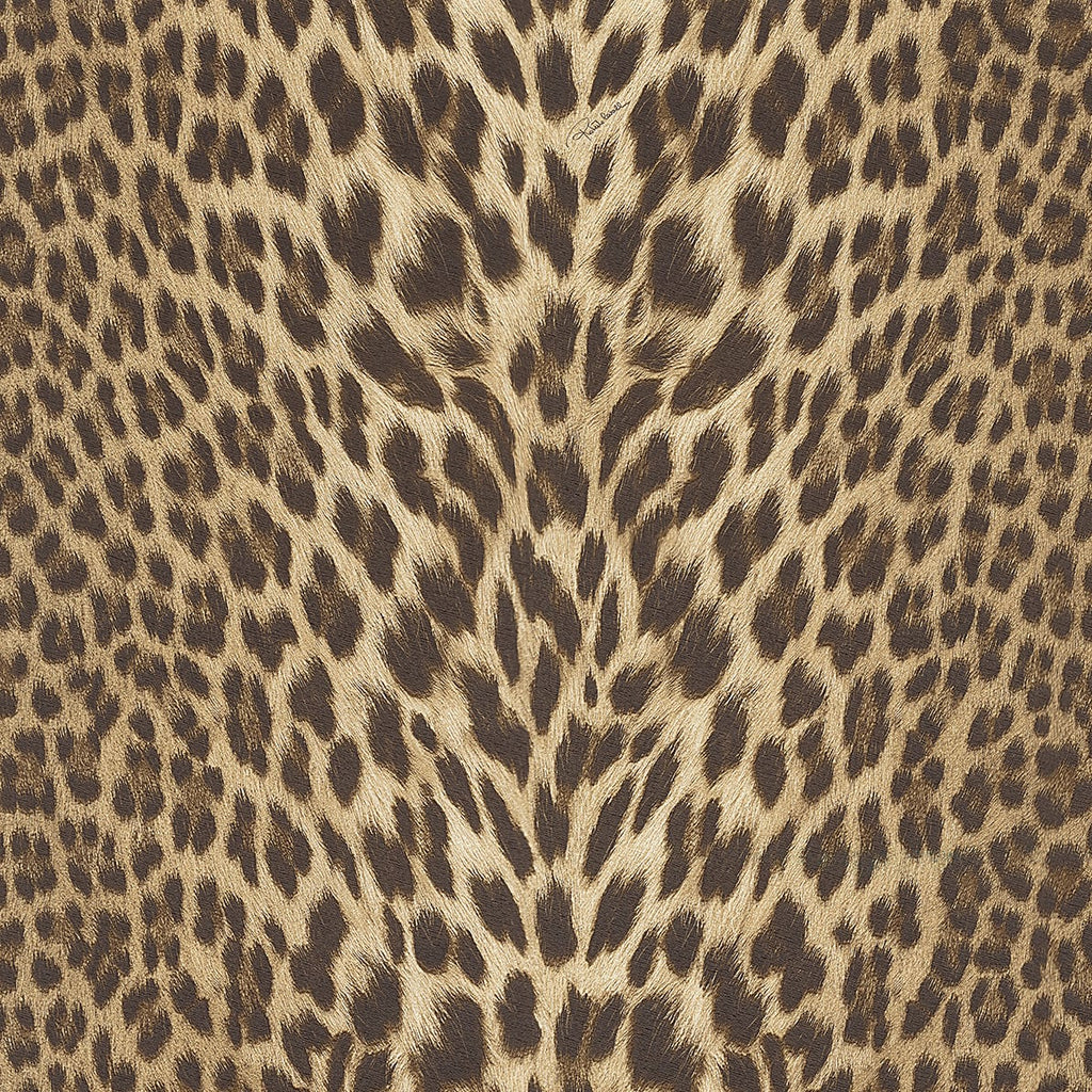Roberto Cavalli Wallpaper