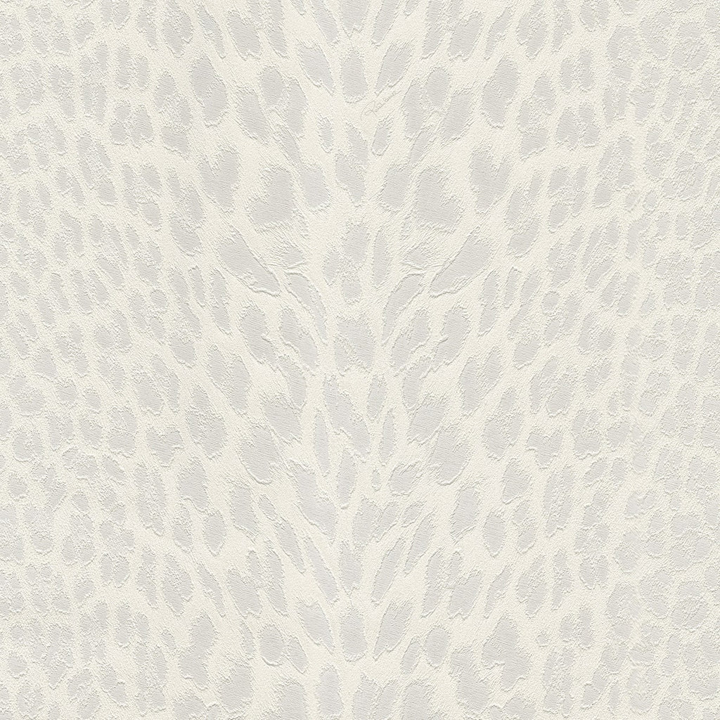 Roberto Cavalli Wallpaper