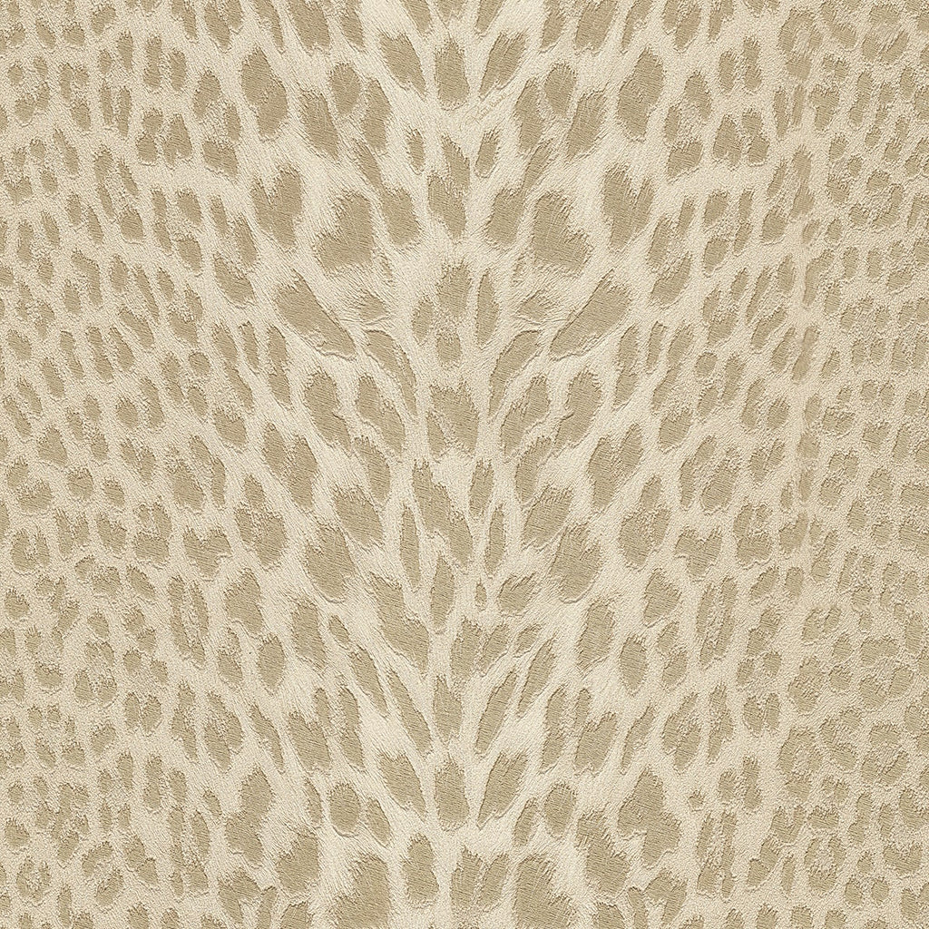 Roberto Cavalli Wallpaper