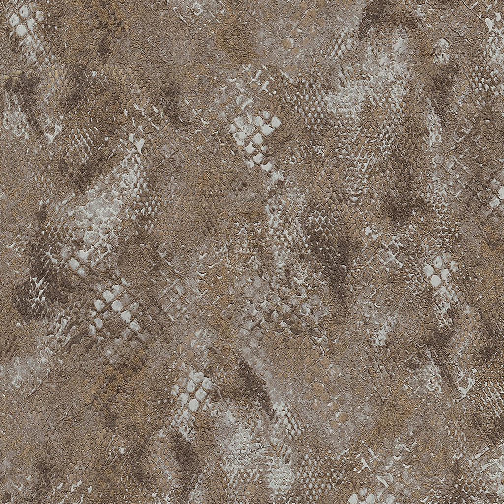 Roberto Cavalli Wallpaper