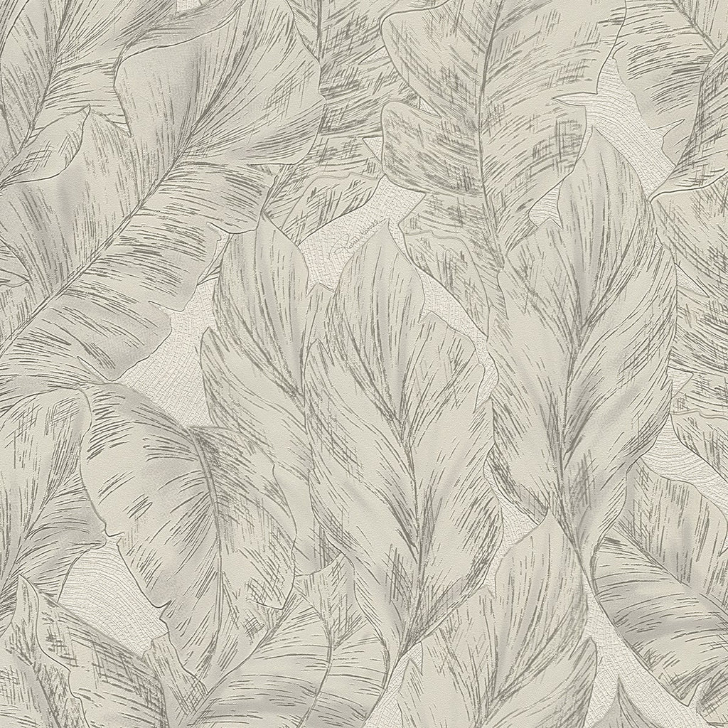 Roberto Cavalli Wallpaper