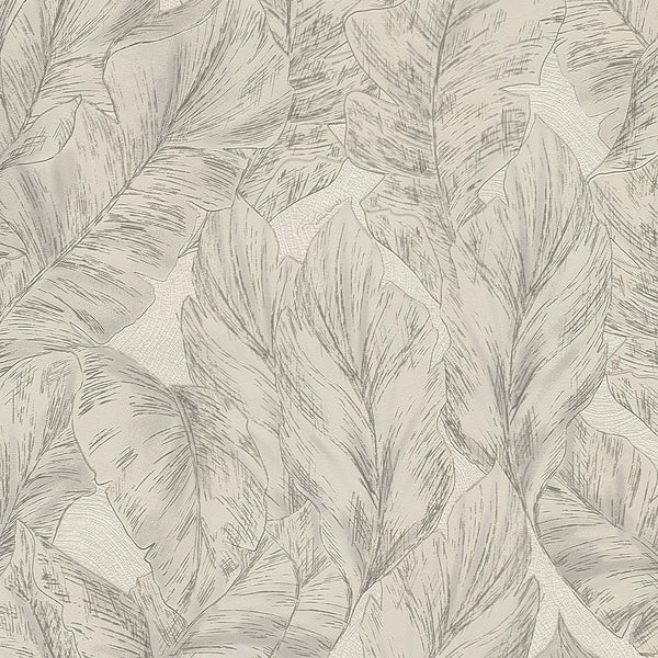 Roberto Cavalli Wallpaper