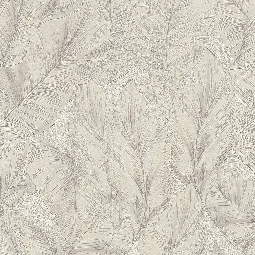 Roberto Cavalli Wallpaper