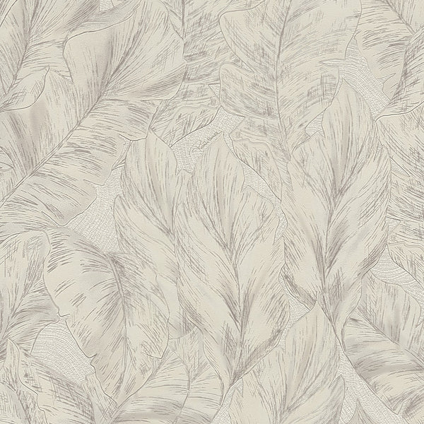 Roberto Cavalli Wallpaper