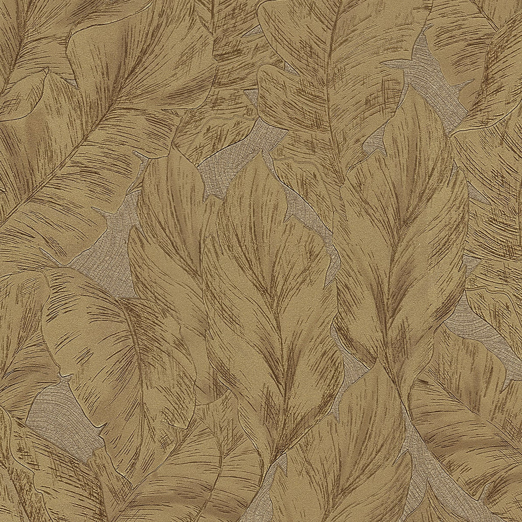 Roberto Cavalli Wallpaper
