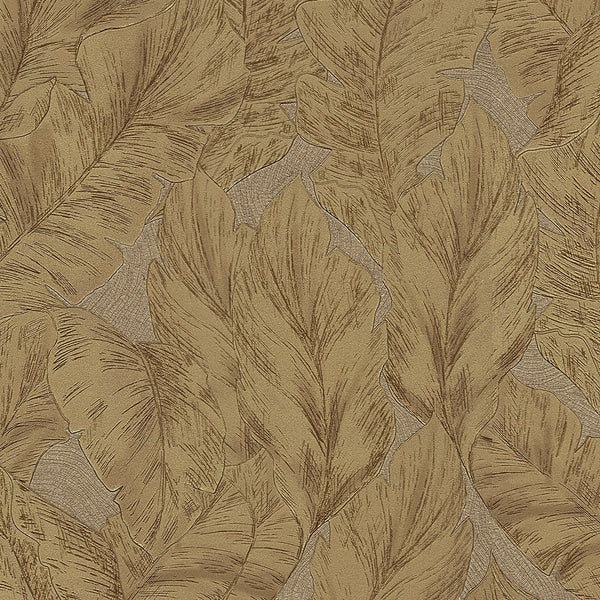 Roberto Cavalli Wallpaper