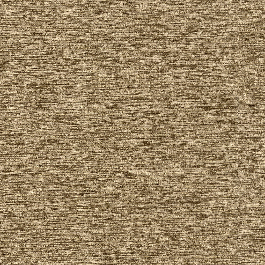 Roberto Cavalli Wallpaper